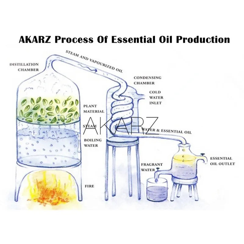 AKARZ Basil Essential Oil