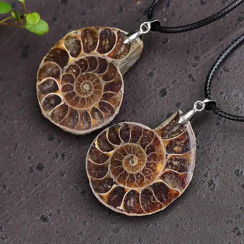 Raw Natural Conch Shell Specimen Pendant