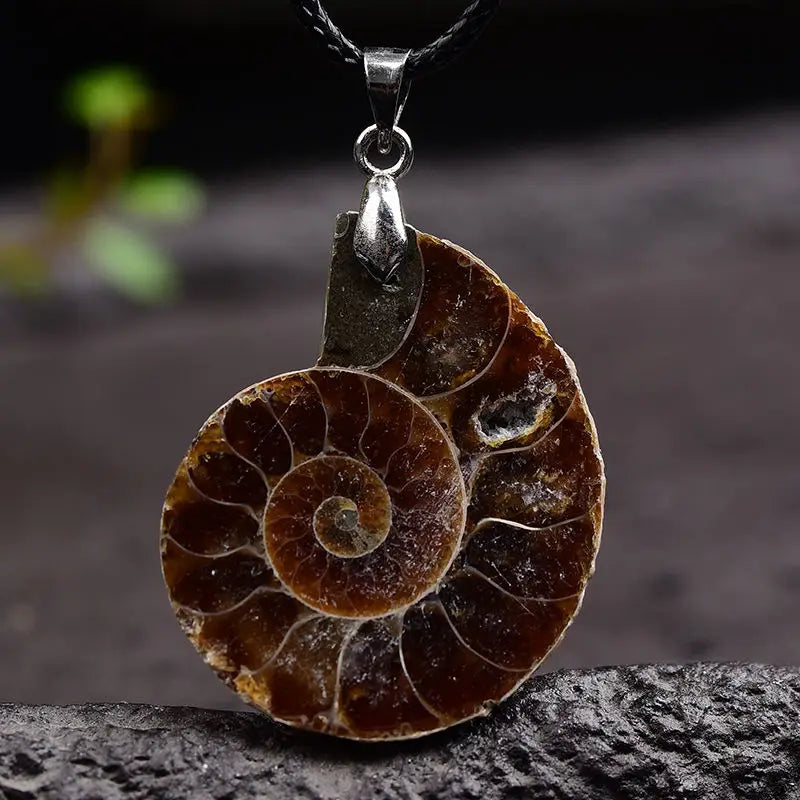 Raw Natural Conch Shell Specimen Pendant